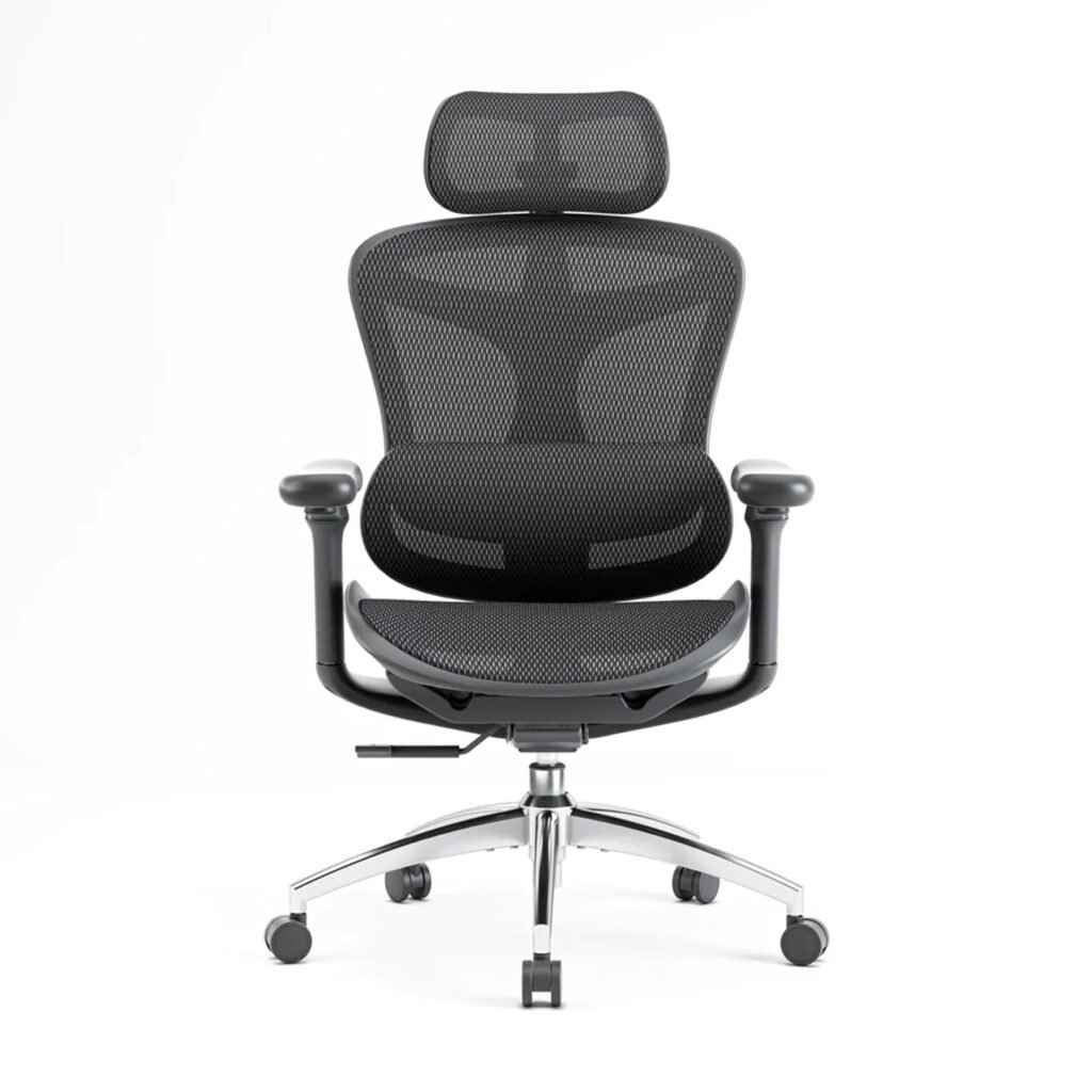 SIHOO Doro C300 ergonomic office chair