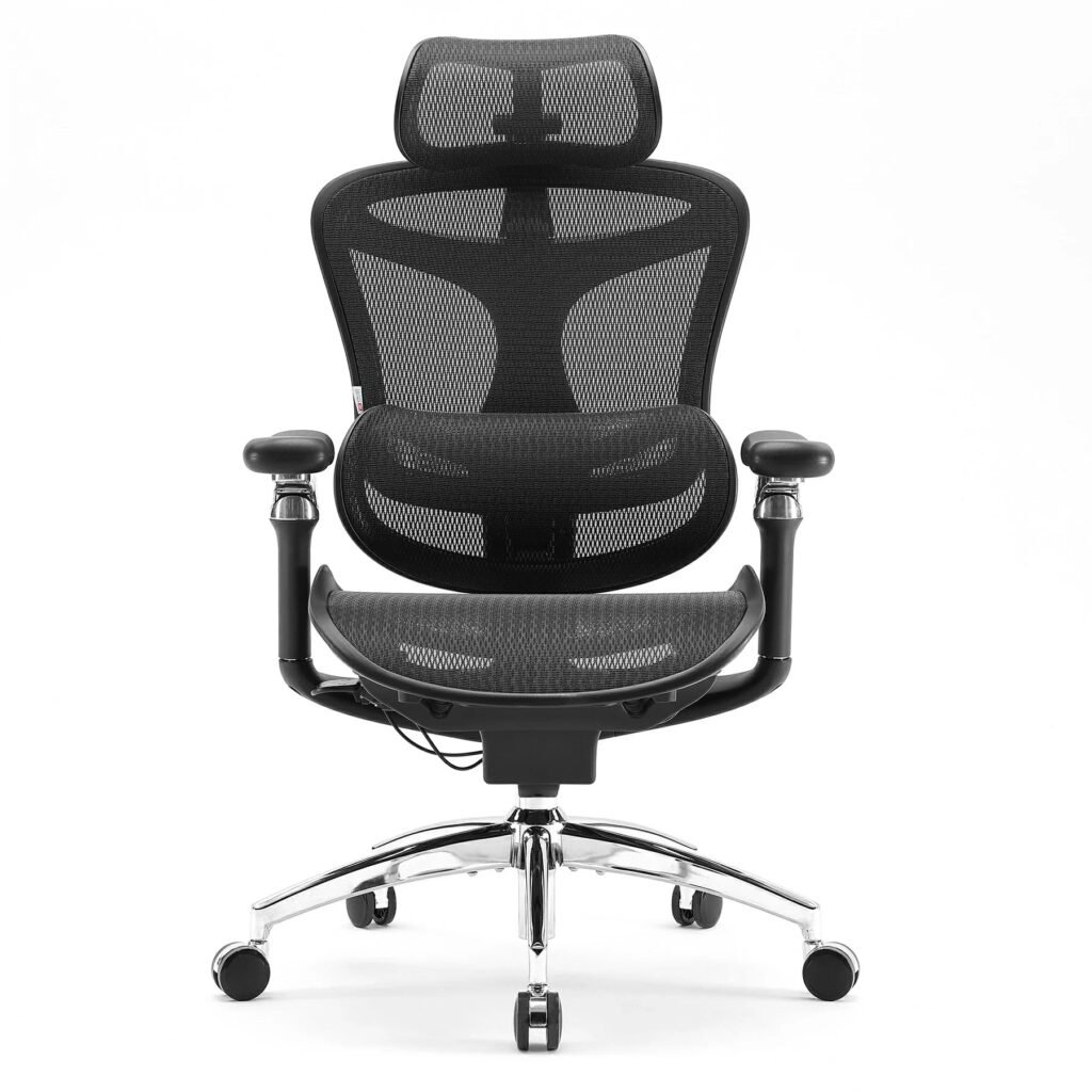 SIHOO Doro C300 Pro ergonomic office chair