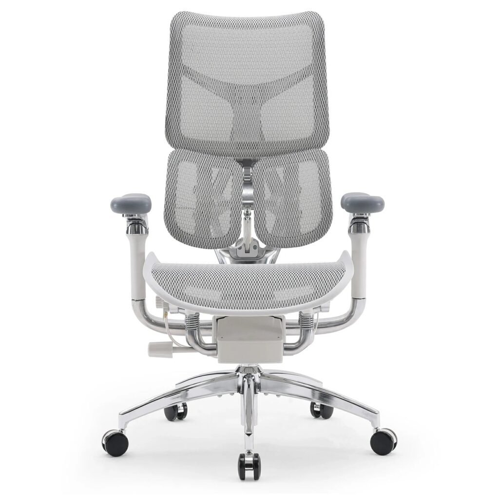 SIHOO Doro S300 ergonomic office chair