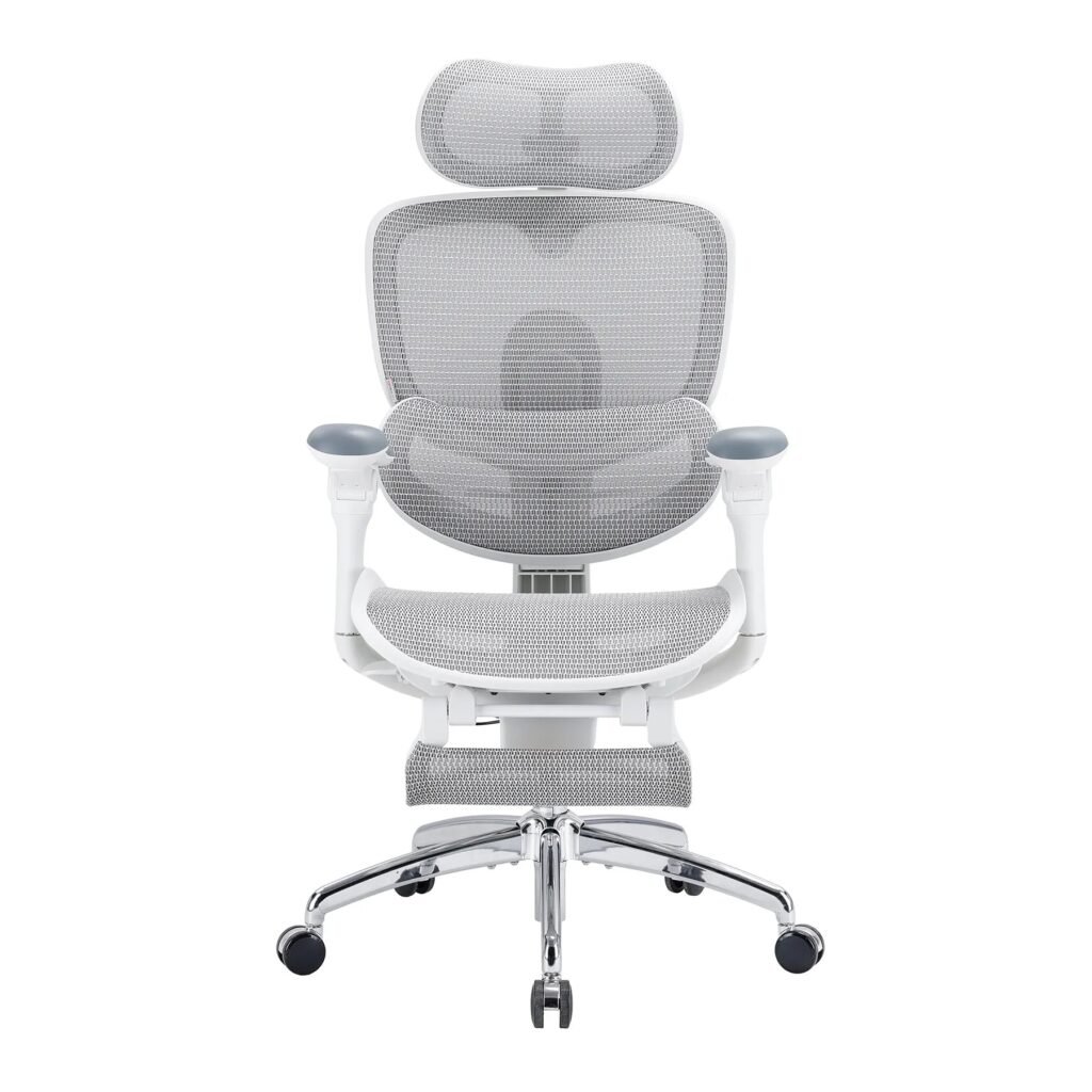 SIHOO Doro C300 Pro V2 ergonomic office chair